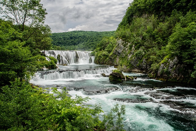 Un bosque encantado con criaturas fantásticas y una atmósfera mágica.